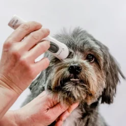 Aesculap Aesculap Exacta Cordless Trimmer -Hair Products aesculap exacta cordless trimmer p35 14419 medium