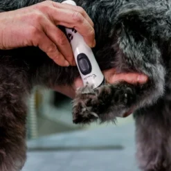 Aesculap Aesculap Exacta Cordless Trimmer -Hair Products aesculap exacta cordless trimmer p35 14420 medium