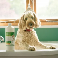 Aqueos Aqueos Anti-Bacterial Dog Shampoo -Hair Products aqueos anti bacterial dog shampoo p2925 14362 medium