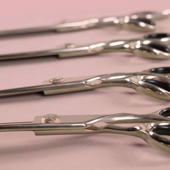 Groomers Aurelia Groomers Aurelia 5 Piece Scissor Set 7 Groomers Aurelia Groomers Aurelia 5 Piece Scissor Set - Image 7