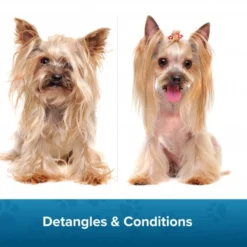 Groomers Coat Care Coat Management Spray Refill 1L 13 Groomers Coat Care Coat Management Spray Refill 1L -Hair Products groomers coat care coat management spray refill 1l p17807 14176 medium