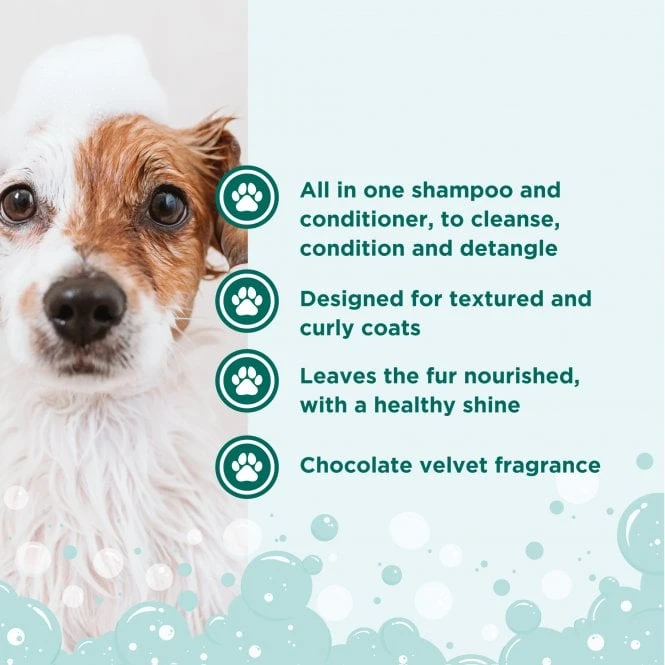 Groomers Groomers Crazy Curls 2 In 1 Conditioning Shampoo 2 Groomers Groomers Crazy Curls 2 In 1 Conditioning Shampoo - Image 2