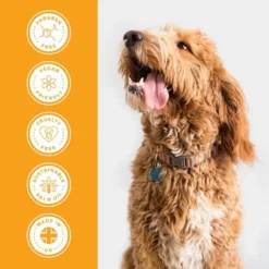 Groomers Everyday Groomers Everyday Banana & Mango Shampoo -Hair Products groomers everyday banana mango shampoo p17771 13638 medium