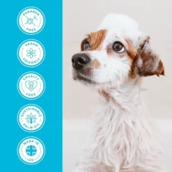 Groomers Everyday Groomers Everyday Clear Skies Shampoo 7 Groomers Everyday Groomers Everyday Clear Skies Shampoo -Hair Products groomers everyday clear skies shampoo p17773 13651 medium