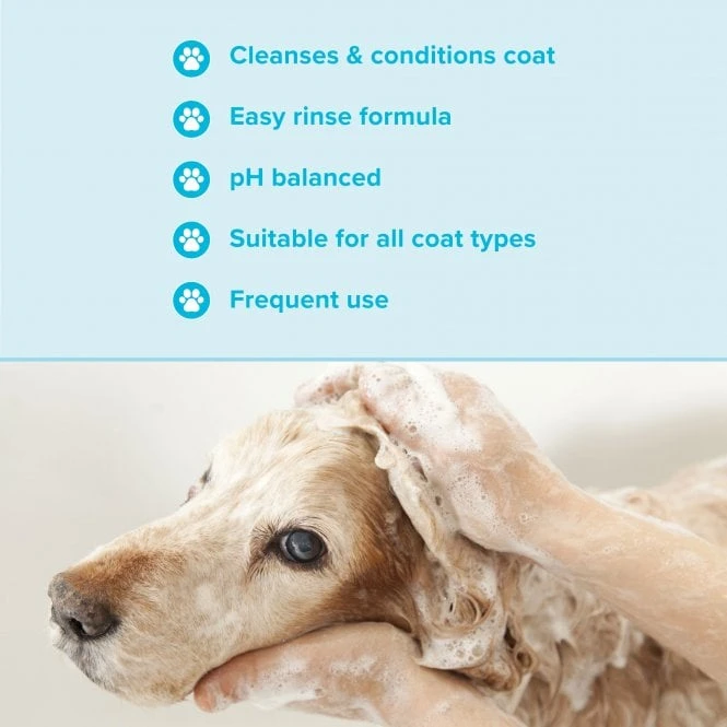 Groomers Everyday Groomers Everyday Clear Skies Shampoo 2 Groomers Everyday Groomers Everyday Clear Skies Shampoo - Image 2