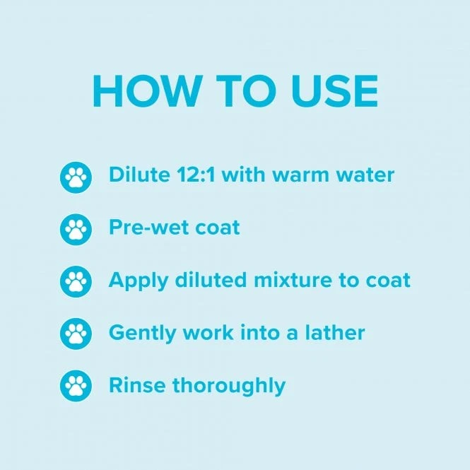 Groomers Everyday Groomers Everyday Clear Skies Shampoo 5 Groomers Everyday Groomers Everyday Clear Skies Shampoo - Image 5