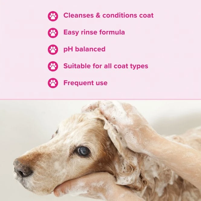 Groomers Everyday Groomers Everyday Floral Bouquet Shampoo 2 Groomers Everyday Groomers Everyday Floral Bouquet Shampoo - Image 2