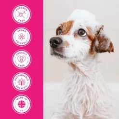 Groomers Everyday Groomers Everyday Floral Bouquet Shampoo 7 Groomers Everyday Groomers Everyday Floral Bouquet Shampoo -Hair Products groomers everyday floral bouquet shampoo p17774 13647 medium