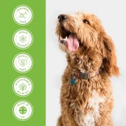 Groomers Everyday Groomers Everyday Melon Cocktail Shampoo -Hair Products groomers everyday melon cocktail shampoo p17772 13641 medium