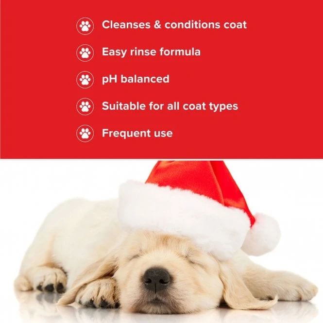 Groomers Groomers Festive Ginger Spice Shampoo 3 Groomers Groomers Festive Ginger Spice Shampoo - Image 3