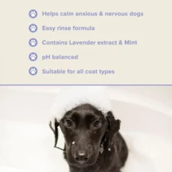 Groomers PerformanceGroomers Performance Calming Shampoo -Hair Products groomers performance calming shampoo p17789 13787 medium