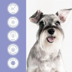 Groomers PerformanceGroomers Performance Calming Shampoo -Hair Products groomers performance calming shampoo p17789 13788 medium