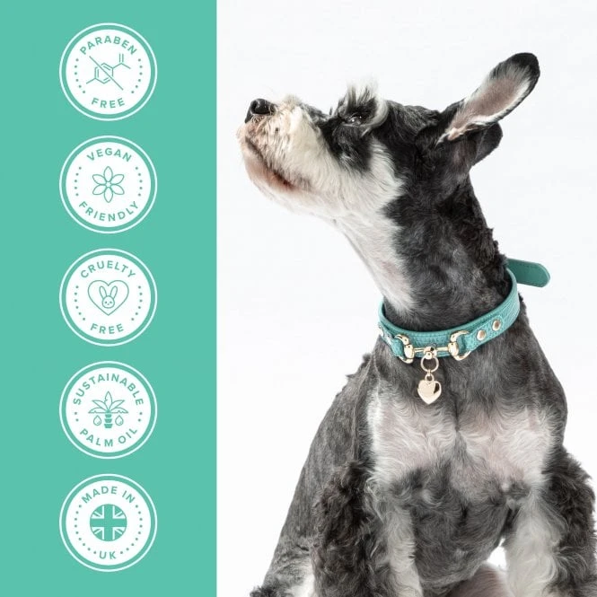 Groomers PerformanceGroomers Performance Medicated Shampoo 4 Groomers PerformanceGroomers Performance Medicated Shampoo - Image 4