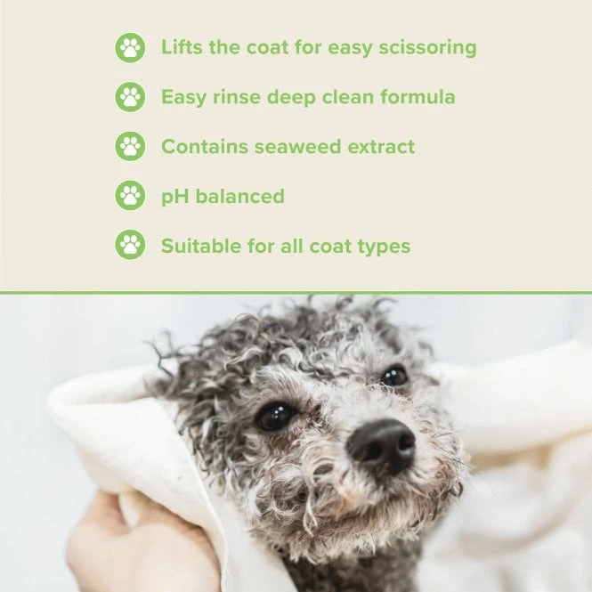 Groomers PerformanceGroomers Performance Scissoring Shampoo 3 Groomers PerformanceGroomers Performance Scissoring Shampoo - Image 3