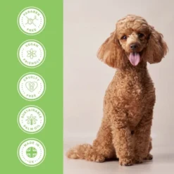 Groomers PerformanceGroomers Performance Scissoring Shampoo 9 Groomers PerformanceGroomers Performance Scissoring Shampoo -Hair Products groomers performance scissoring shampoo p17787 13785 medium