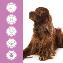 Groomers PerformanceGroomers Performance Shine Shampoo -Hair Products groomers performance shine shampoo p17784 13750 medium