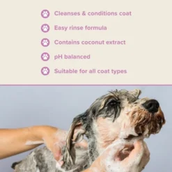 Groomers PerformanceGroomers Performance Shine Shampoo -Hair Products groomers performance shine shampoo p17784 13766 medium