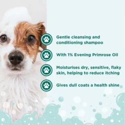 Groomers Groomers Signature Evening Primrose Oil Shampoo -Hair Products groomers signature evening primrose oil shampoo p17609 13324 medium