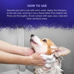 Wahl Wahl Diamond White Shampoo 11 Wahl Wahl Diamond White Shampoo -Hair Products wahl diamond white shampoo p3796 13463 medium