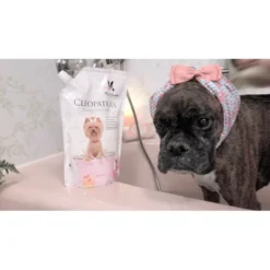 Warren London Warren London Cleopatra's Doggy Bath Milk 6 Warren London Warren London Cleopatra's Doggy Bath Milk -Hair Products warren london cleopatras doggy bath milk p10049 7757 medium